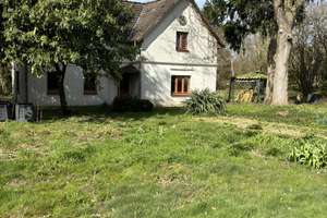 Ostseegrundstück mit Wohnhaus, einzigartig, naturbelassen und weiteren Bebauungsmöglichkeiten – Lindenstraße 17, 23968 Zierow – Vorschaubild 10