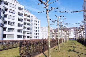 *****Exklusive Maisonette mit Dachterrassen & TG-Stellplatz in Bestlage Düsseldorf-Golzheim***** – 40474 Golzheim, Düsseldorf – Vorschaubild 15