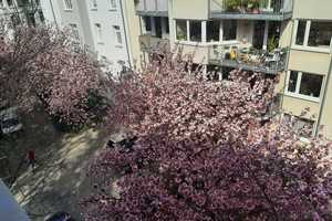 Freundliche 2-Zimmer-Wohnung in Dortmund, Unionviertel, Nähe Westpark – Barmer Straße 24, 44137 Dortmund – Vorschaubild 11