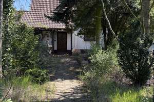 Gestalte, was dir wirklich gefällt – Haus mit großem Garten in Leipzig-Portitz