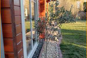 Einige Seeen, traumhafte - ländliche Lage und ein tolles Haus – Teltow-Fläming (Kreis) – Vorschaubild 8
