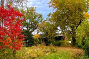 Property thumbnail 2