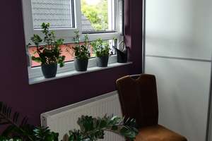 Odenthal Ruhiglage komfortable DHH Garage Terrasse in  Westlage mit optimal integriertem Gewerberaum – Die vollständige Adresse der Immobilie erhältst du vom Anbieter., 51519 Odenthal – Vorschaubild 22