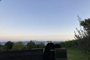 Haus mit traumhafter See-, Alpen-, Fern- und Sternsicht – Die vollständige Adresse der Immobilie erhältst du vom Anbieter., 88709 Meersburg – Vorschaubild 13