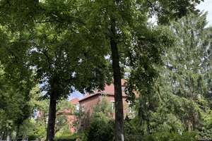 Stilvolles Wohnen in traumhafter Grünlage von Lichterfelde – Die vollständige Adresse der Immobilie erhältst du vom Anbieter., 12207 Lichterfelde, Berlin – Vorschaubild 13