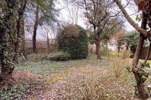 Property thumbnail 10