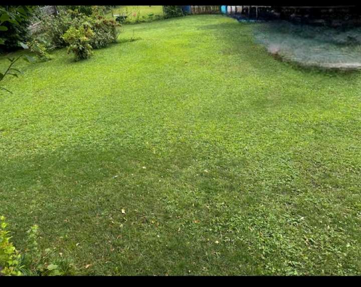 370788 20241018094411 0494