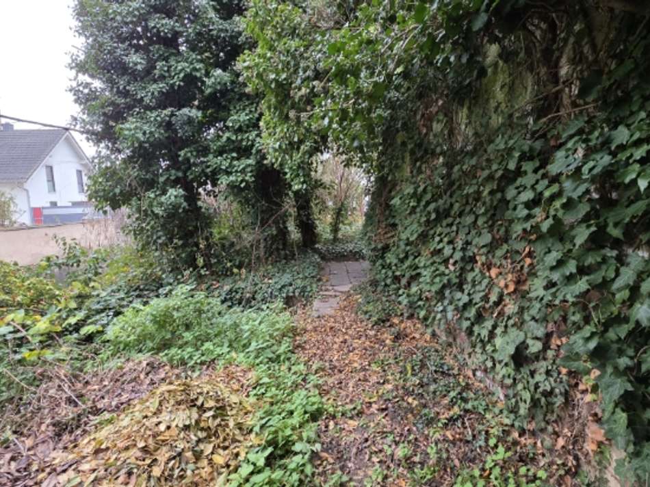 VK-1519 Aussenbereich (14)