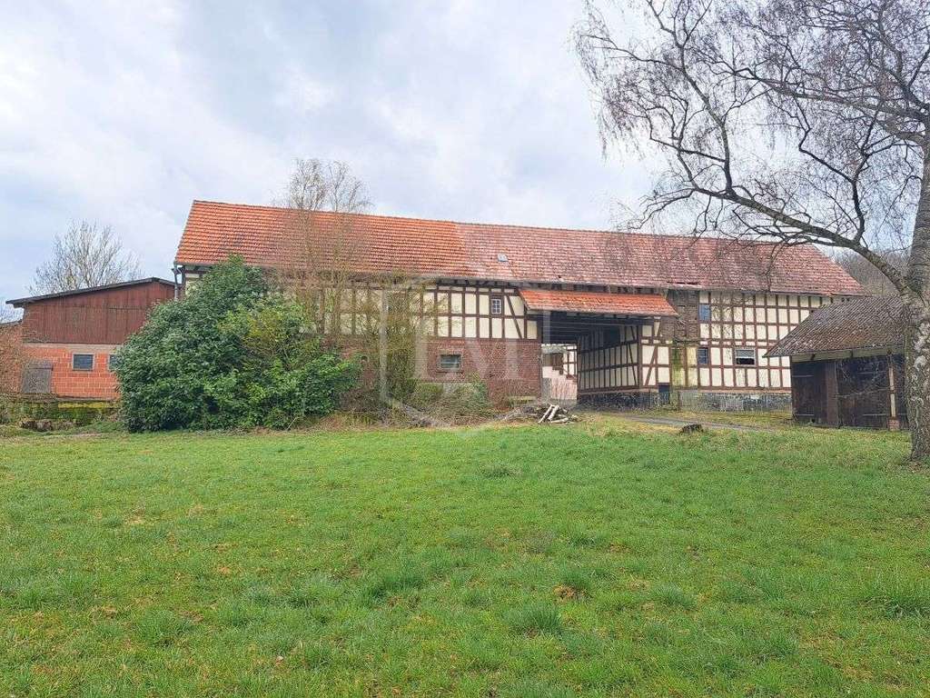 Immobilie in Lohra - Resthof in Lohra - Bild 3