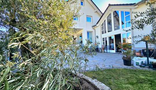 Bild von Olivenbaum mit Luxushaus zu verkaufen