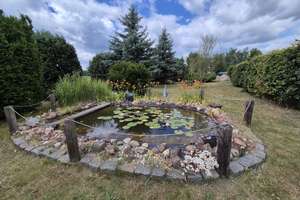Zwei Häuser und ein Traumgrundstück mit Teich, Pool und viel Platz für Freizeit und Hobby! – Pretzscher Allee 8, 6905 Bad Schmiedeberg – Vorschaubild 6