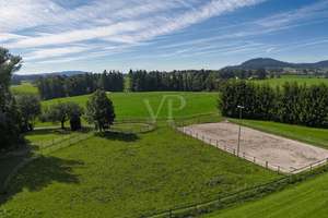 Paradies abzugeben ! – Die vollständige Adresse der Immobilie erhältst du vom Anbieter., 87487 Wiggensbach – Vorschaubild 3