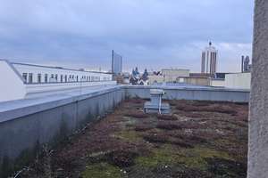 Sehr helle 2-Zimmer Wohnung in Leipzig Zentrum-Ost – Die vollständige Adresse der Immobilie erhältst du vom Anbieter., 4103 Zentrum-Ost, Leipzig – Vorschaubild 15