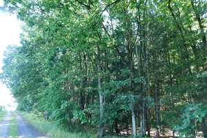Traumhaftes Grundstück mit Bauernhaus, ca. 7 ha Wald, Teich und Nebengebäude – Parchim (Kreis) – Vorschaubild 29