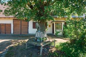 RESERVIERT! Wohnhaus mit Ökonomieteil und Traumgrundstück in ruhiger Naturlage – Die vollständige Adresse der Immobilie erhältst du vom Anbieter., 78664 Eschbronn – Vorschaubild 15