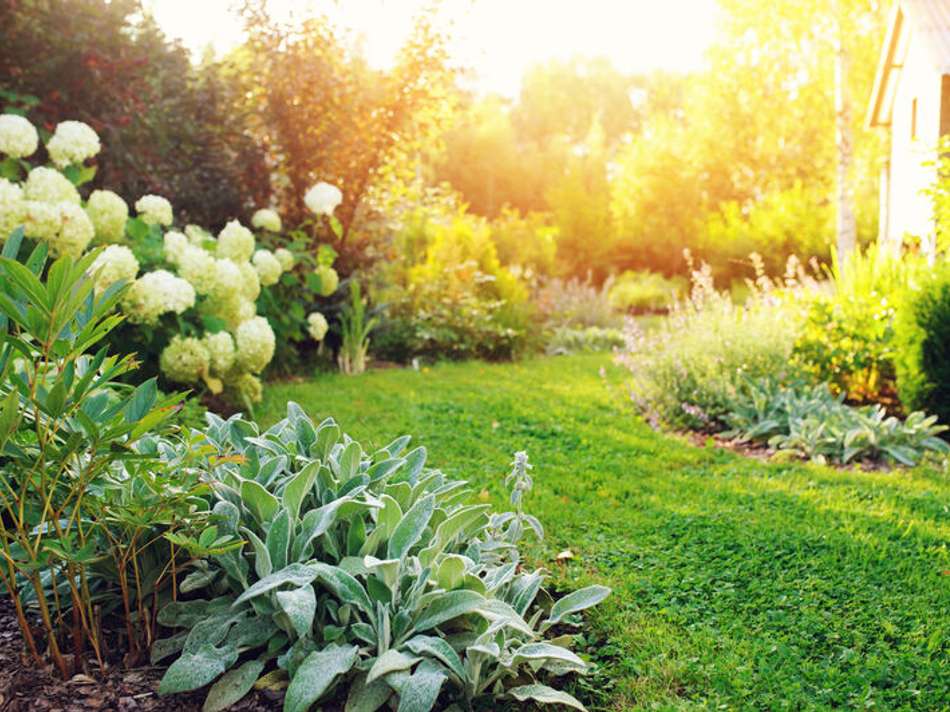 Wohnbeispiel Garten 2