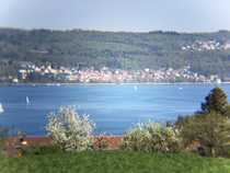 Konstanz (Kreis), M. ... - Vermietung 4-, Mehr-Zimmer-Wohnungen