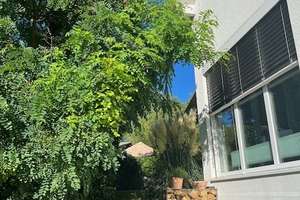 Von Privat! Splitlevel Reiheneckhaus mit gehobener Ausstattung in Wiesbaden-Frauenstein – Quellbornstrasse 82e, 65201 Frauenstein, Wiesbaden – Vorschaubild 6