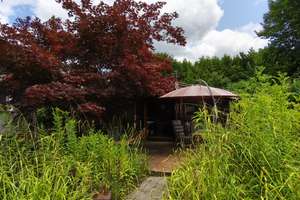Bungalow in MG – zentrumsnah, dennoch abgeschieden vom Lärm der Stadt – umgeben von Natur pur – Klagenfurter Straße 9-11, 41063 Am Wasserturm, Mönchengladbach – Vorschaubild 19