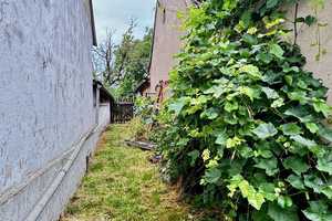 ebenerdiges 110 qm Einfamilienhaus in idyllischer Traumlage - Pferde- und Naturliebhaber aufgepasst – Salzlandkreis – Vorschaubild 21