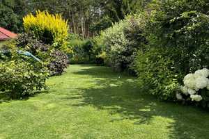 Barrierefreies lichtdurchflutetes EFH in See- und Waldnähe mit großem Garten und Sauna – Dahme-Spreewald (Kreis) – Vorschaubild 3