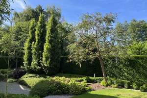 Repräsentative Villa in ruhiger Lage von Bad Homburg-Dornholzhausen – Die vollständige Adresse der Immobilie erhältst du vom Anbieter., 61350 Bad Homburg vor der Höhe – Vorschaubild 13