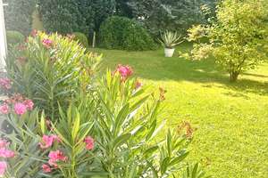 Property thumbnail 21