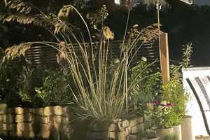 Property thumbnail 23