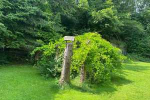 Besondere Immobilie aus zwei Häusern mit großem Garten im grünen Herzen 0bersontheims – Gaildorfer Straße 17, 74423 Schwäbisch Hall (Kreis) – Vorschaubild 26
