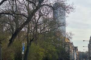 Stadtgarten: Wohnung mit grossem Balkon/hohe Decken in Gründerzeithaus