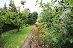 Wohnen u.Arbeiten unter einem Dach kleine Hofanlage toller Garten Nebengebäude Ausbaureserve  – Bonn – Vorschaubild 19
