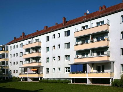 Miete single hartz 4 berlin