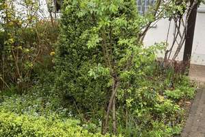Charmantes Reihenhaus mit Garten in 08280 Aue + Garagen – Die vollständige Adresse der Immobilie erhältst du vom Anbieter., 8280 Aue – Vorschaubild 2