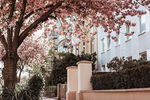 Property thumbnail 20