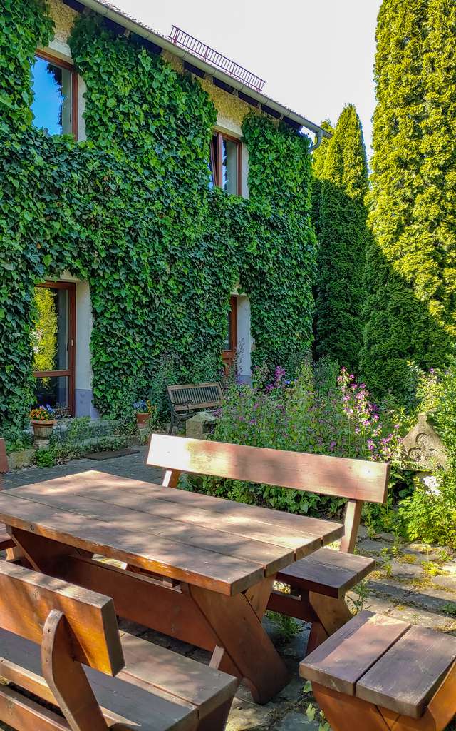 Immobilie in Großweitzschen - Großzügiges Einfamilienhaus auf idyllischem Grundstück und vielseitigen Nutzungsmöglichkeiten - Bild 1