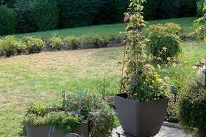 Schöne barrierefreie Terrassenwohnung – 42659 Solingen-Mitte, Solingen – Vorschaubild 3