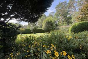 Property thumbnail 9