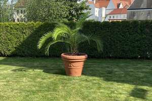 Ansprechendes Mehrfamilienhaus mit Terrasse und ebenerdigem Bungalow - auch zur Selbstnutzung – Die vollständige Adresse der Immobilie erhältst du vom Anbieter., 4720 Döbeln – Vorschaubild 5