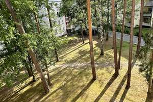Attraktive, helle 2 Zimmer Wohnung in Röthenbach – gute Anbindung und sofort einziehbar – Die vollständige Adresse der Immobilie erhältst du vom Anbieter., 90552 Röthenbach an der Pegnitz – Vorschaubild 7