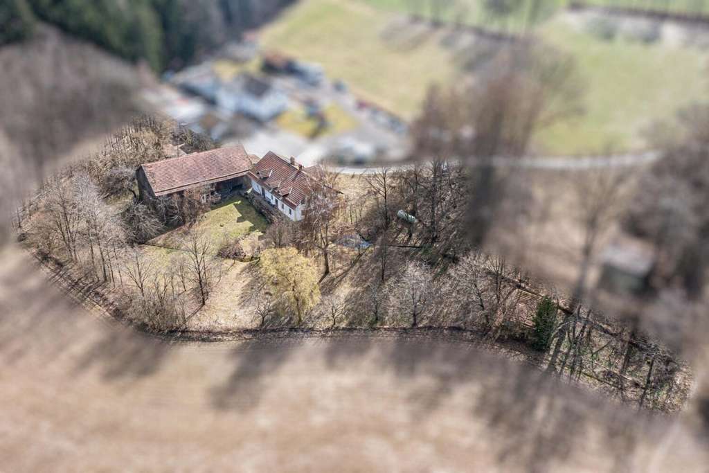 Immobilie in Weiding - „Idyllisches Bauernhaus mit Teich & eigener Quelle – Ruhe, Natur und Geschichte vereint“ - Bild 2