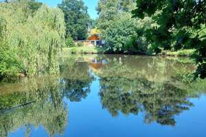 Haus am See. – Die vollständige Adresse der Immobilie erhältst du vom Anbieter., 27729 Hambergen – Vorschaubild 4
