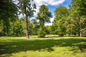 Property thumbnail 25