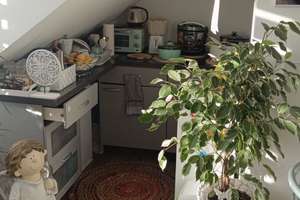 Kompaktes Apartment: Wohnraum in der Pforzheimer Oststadt – Geigerstraße 13, 75175 Oststadt, Pforzheim – Vorschaubild 2