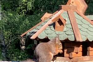 Freistehendes Haus am Waldrand mit großem Naturgarten und separatem Saunahaus – Die vollständige Adresse der Immobilie erhältst du vom Anbieter., 42929 Wermelskirchen – Vorschaubild 25