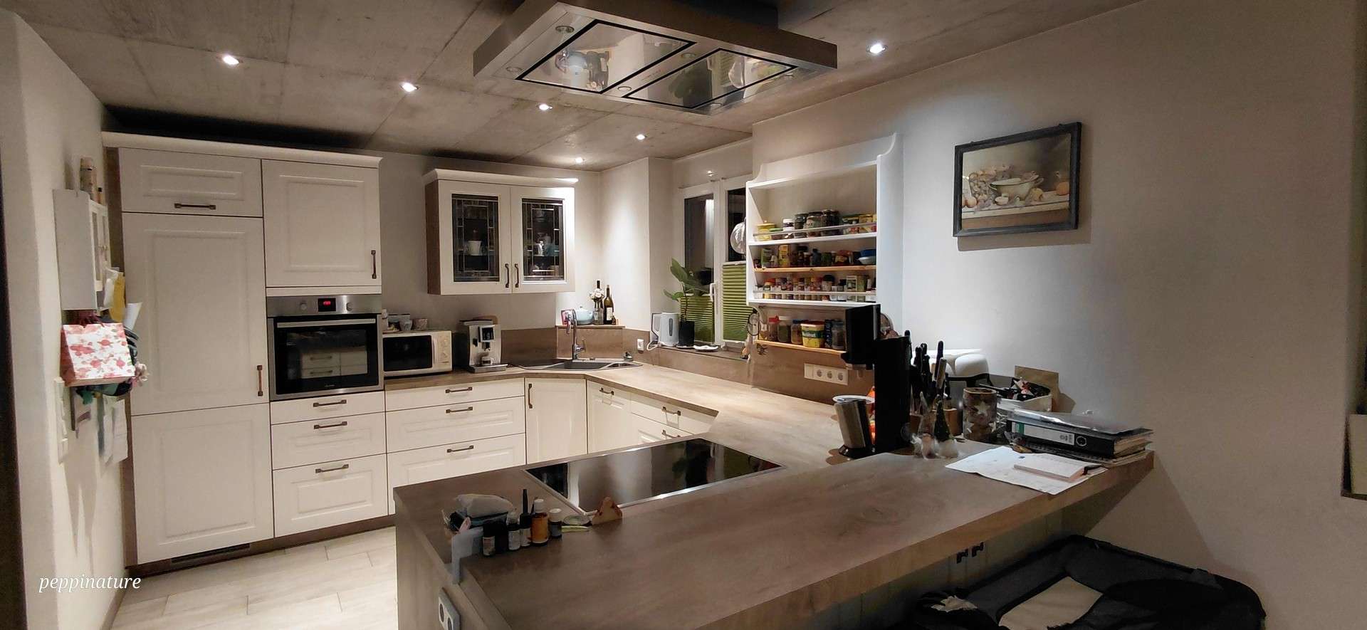 Immobilie in Friedenweiler - Einmalige Immobilie inmitten des Naturschutzes - Bild 9