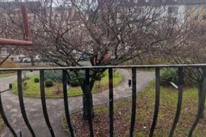 *** Kapitalanlage mit potenzial*** Mehrfamilienhaus in sanierungsbedürftigen Zustand – Alexander Platz 19, 47798 Stadtmitte, Krefeld – Vorschaubild 37