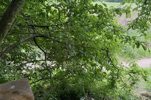 Property thumbnail 23