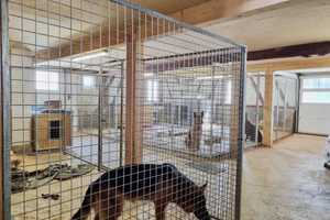 Schönes saniertes Bauernhaus I 2 große Wohnungen I Stallung I Scheune I Werkstatt – Sigmaringen (Kreis) – Vorschaubild 23
