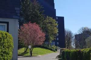 Gemütliche 3 Zimmerwohnung in Siegen mit tollem Ausblick – Ypernstr. 188, 57072 Siegen – Vorschaubild 5