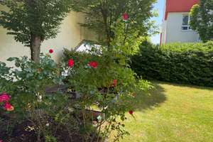 ***Tolle 3 Zimmerwohnung mit großem Garten***